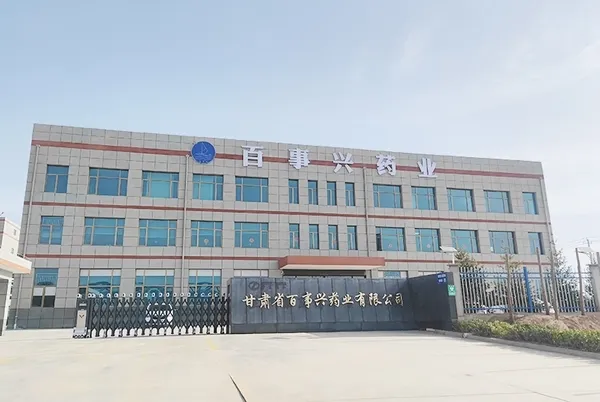 Instalación de Lanzhou – Puerta principal